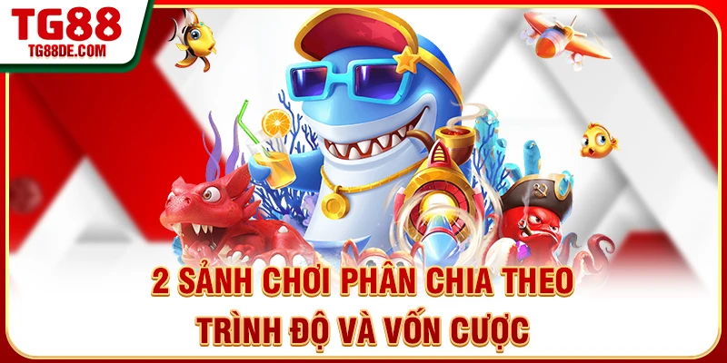 2 sảnh chơi phân chia theo trình độ và vốn cược