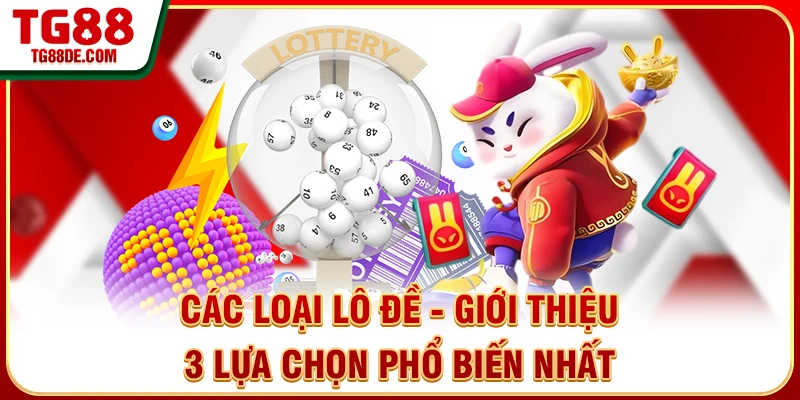 Các Loại Lô Đề - Giới Thiệu 3 Lựa Chọn Phổ Biến Nhất