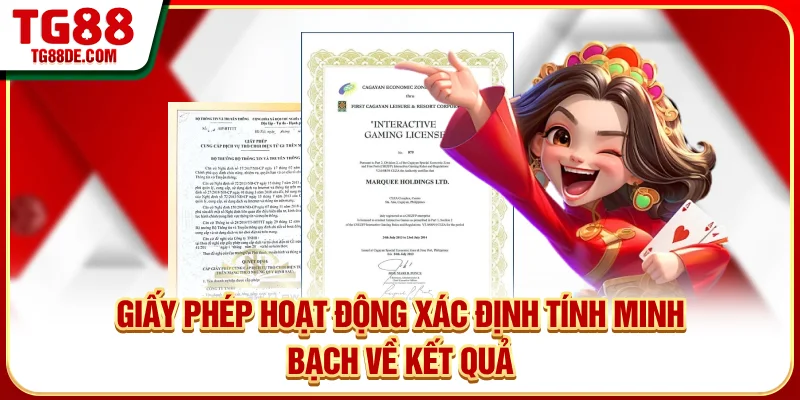 Giấy phép hoạt động xác định tính minh bạch về kết quả