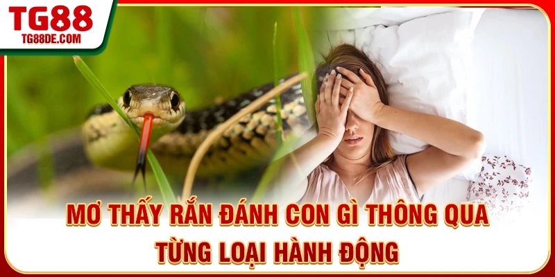 Mơ thấy rắn đánh con gì thông qua từng loại hành động